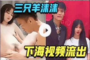 视频标题四